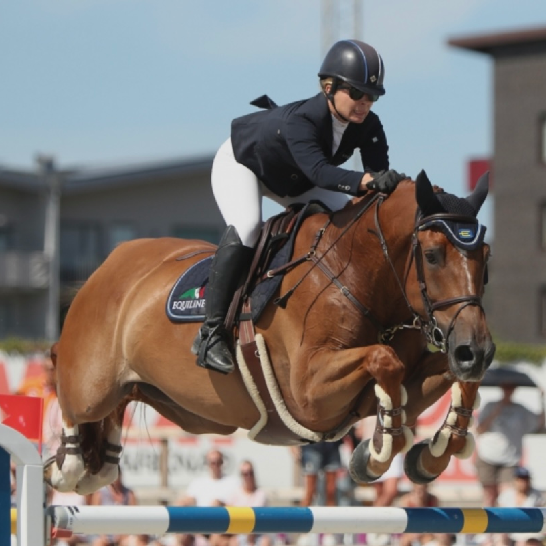 United Touch S x Thunder Van De Zuuthoeve (Olivia Van D' Abelendreef)