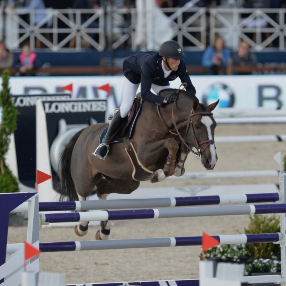 Comme il Faut x Matisse De Mariposa (Roxette Van D'abelendreef)