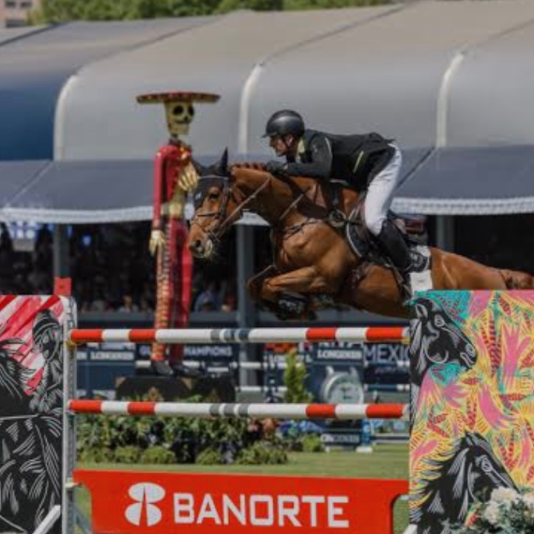 United Touch S x Pegase van't Ruytershof (Trendy van 't Ruytershof)