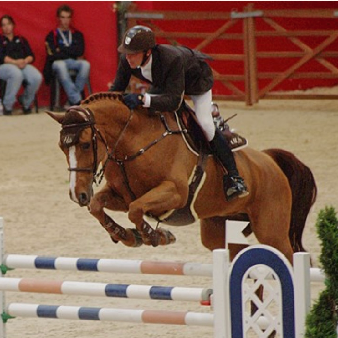 Beyond the fire T40 Z