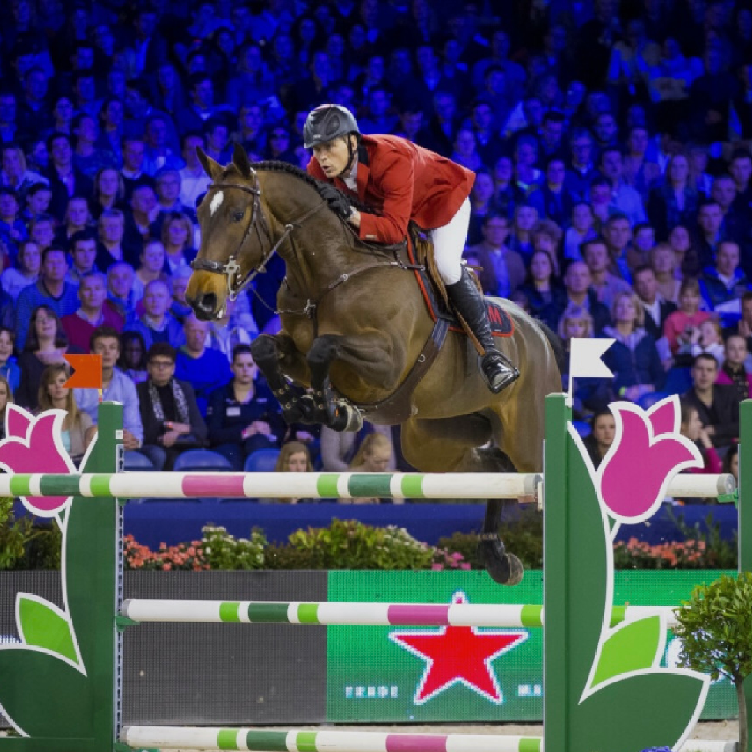 Flip my Butterfly WG