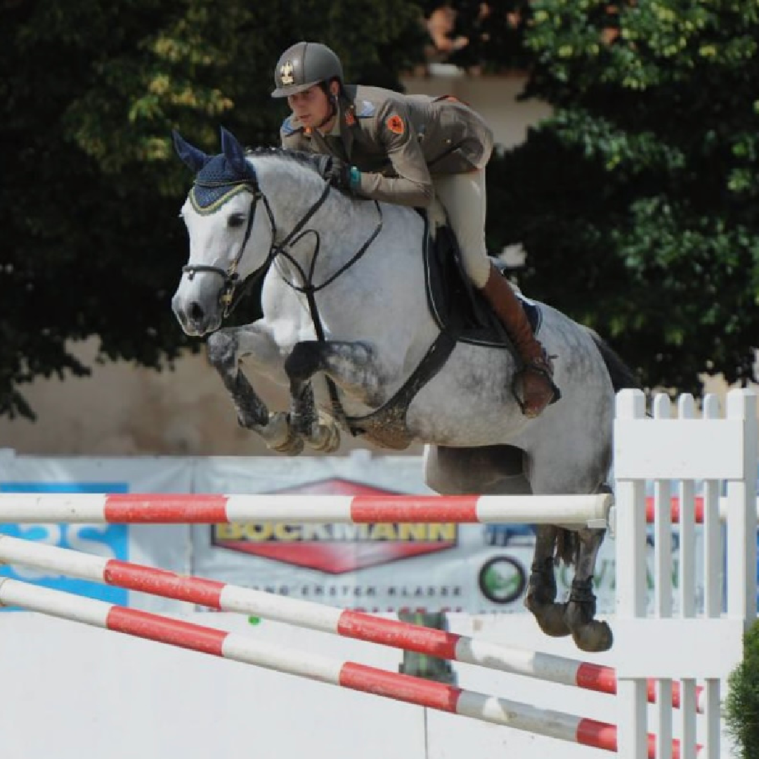 Chacco Blue x Indorado (Indira)