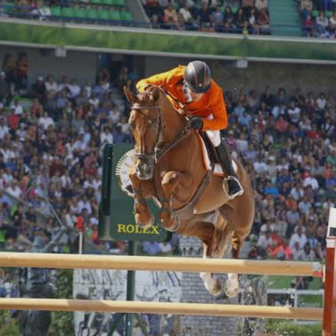 Cumano x Vigo D'Arsouilles (Vibelle)