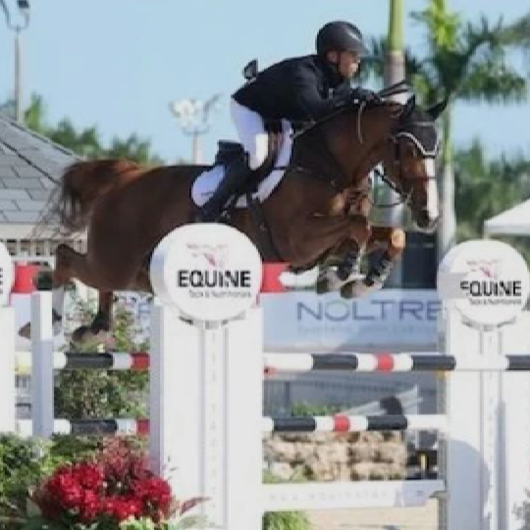 Cornet Obolensky x Echo Van'T Spieveld (Lady D Van't Roosakker)