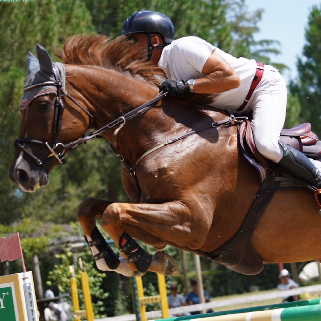 Plot Blue x Chacoon Blue (Chadimena)