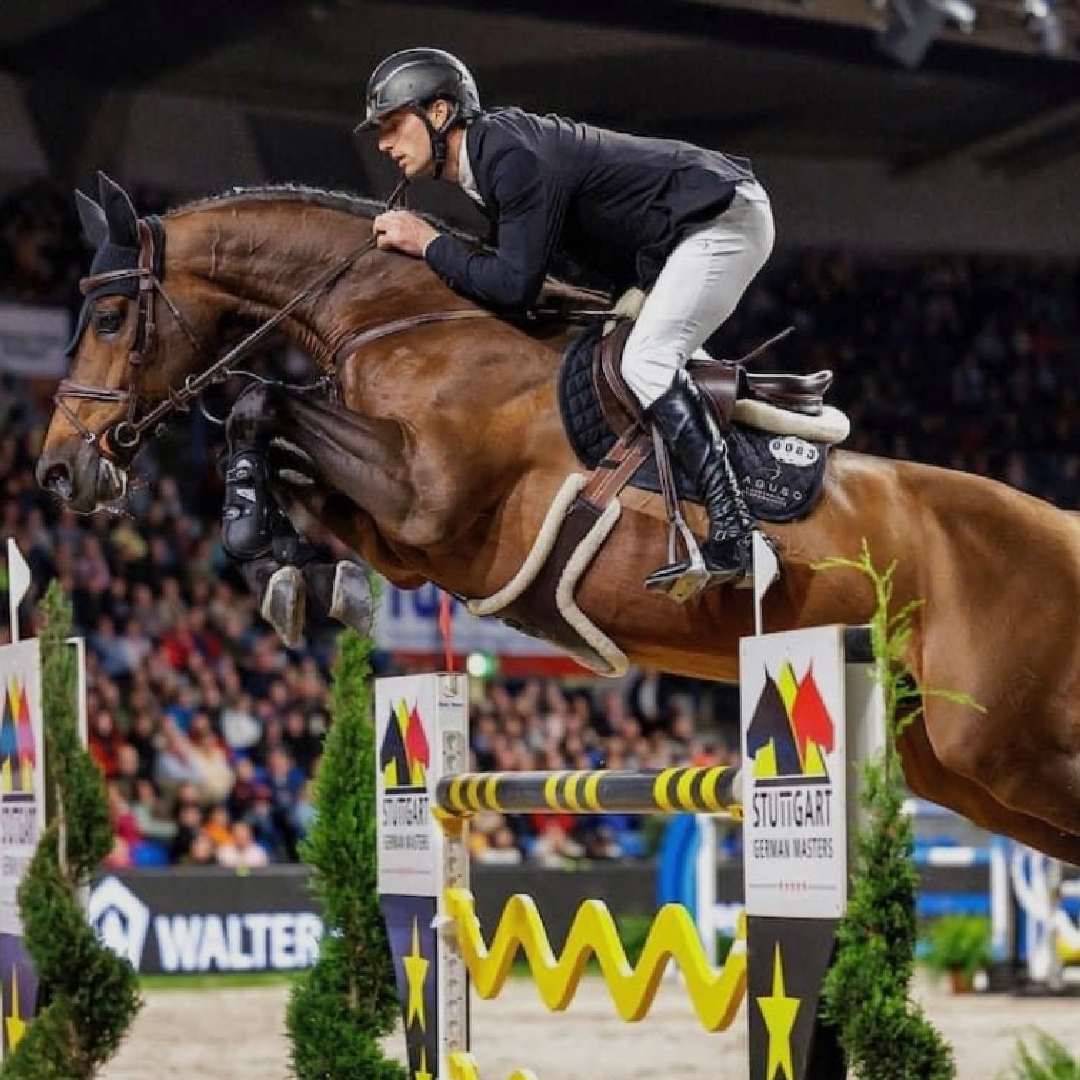 United Touch S x Calido I (V-Coretta)