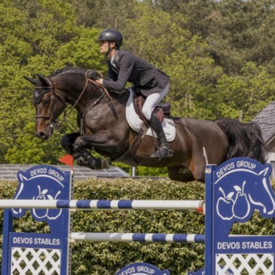 Pegase Van't Ruytershof x Calido I (V-Coretta)