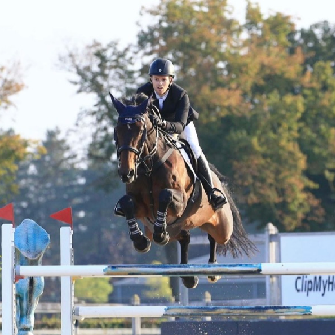 Diamant De Semilly x Loran (Wonik)