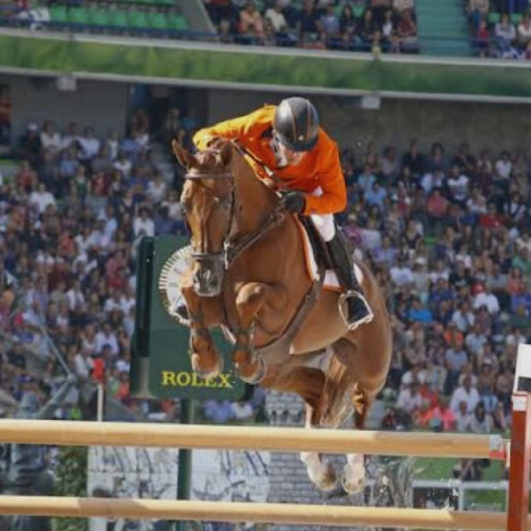 Cumano x Nabab De Reve (Naelle)