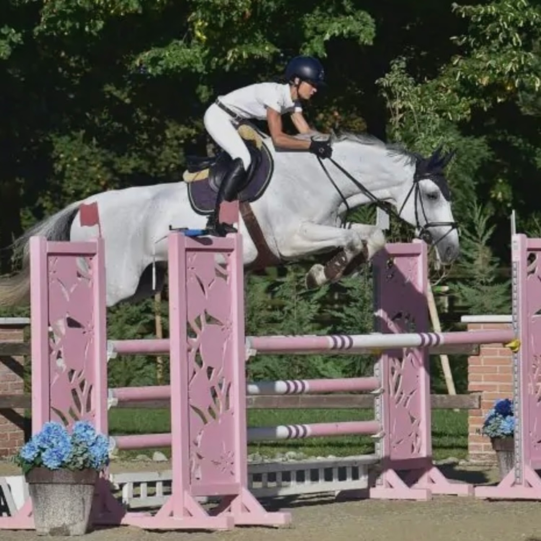 United Touch S x Cornet Obolesky (Cherie FZ)