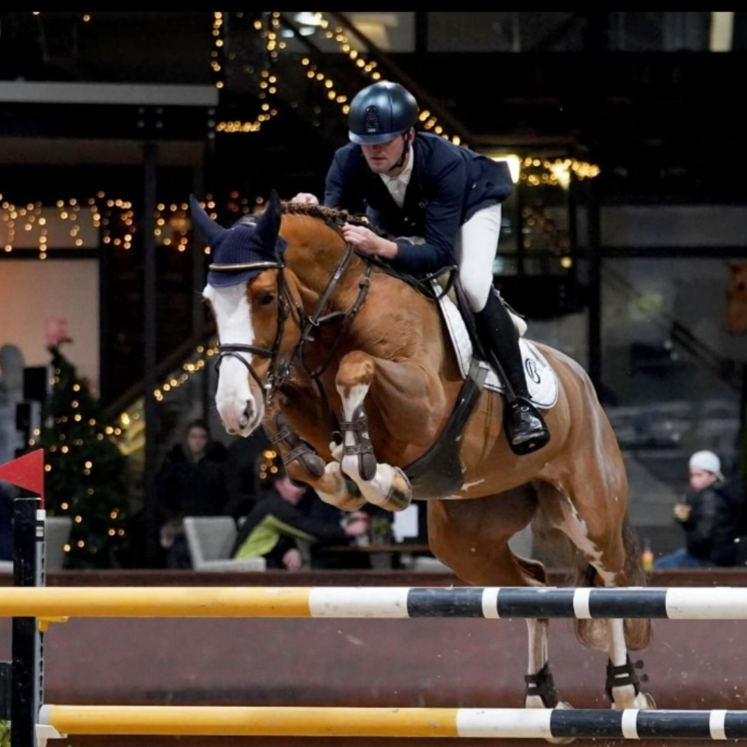 Emerald van't Ruytershof x Chacco Blue (Unbelievable Chacco)