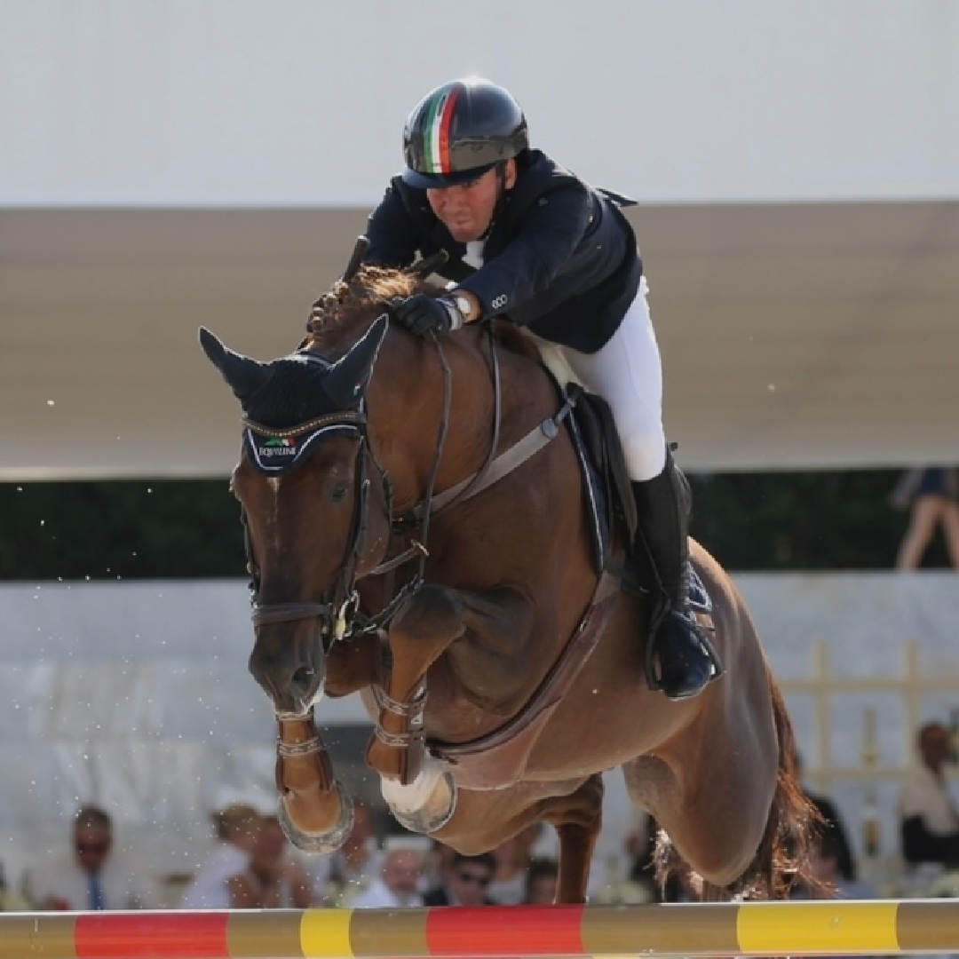 Zirocco Blue VDL x Qlassic Bois Margot (Eau de Tame)