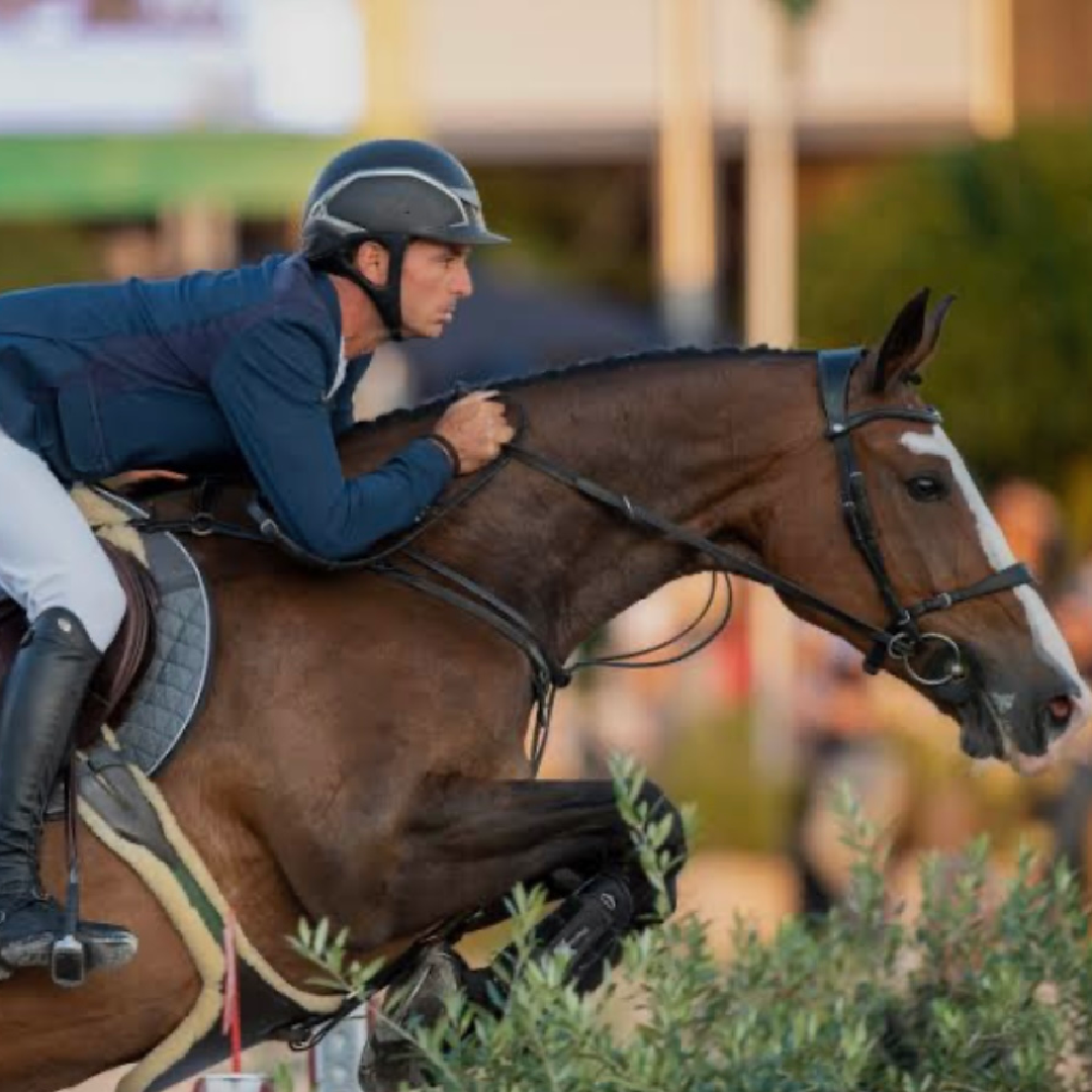 Baloubet du Rouet x Clo Canto (Ulysse Des Forets)