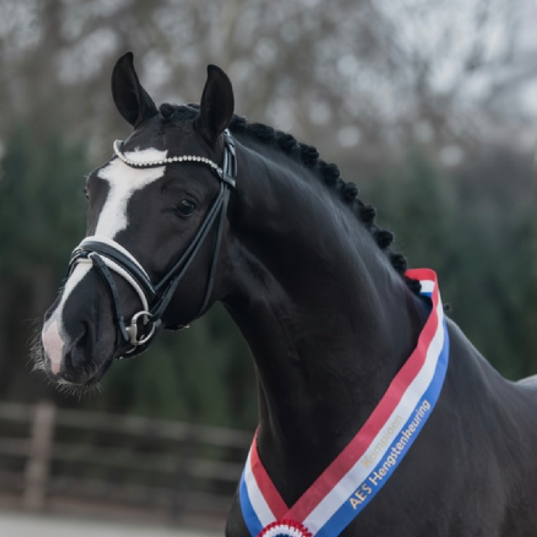 So You Can Dance x Finest (Coco's Finest)