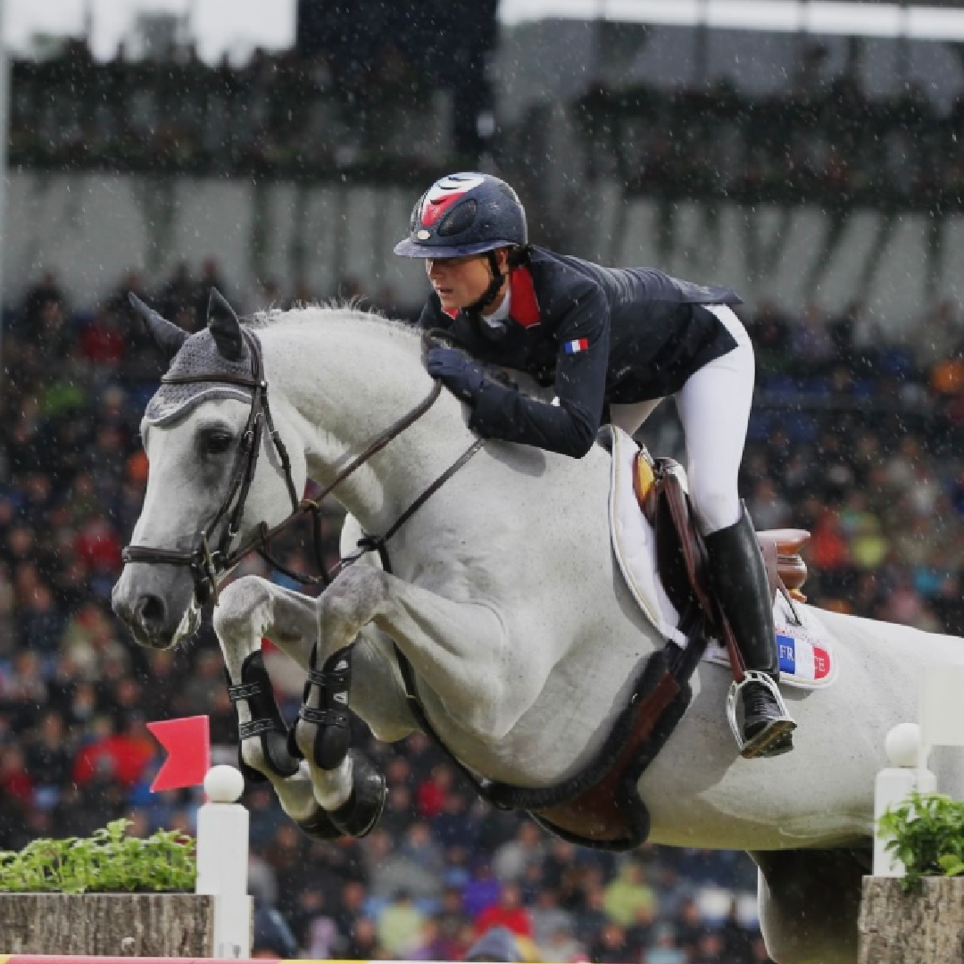 Chacco Blue x Elvis Ter Putte (Mademoiselle de Muze)