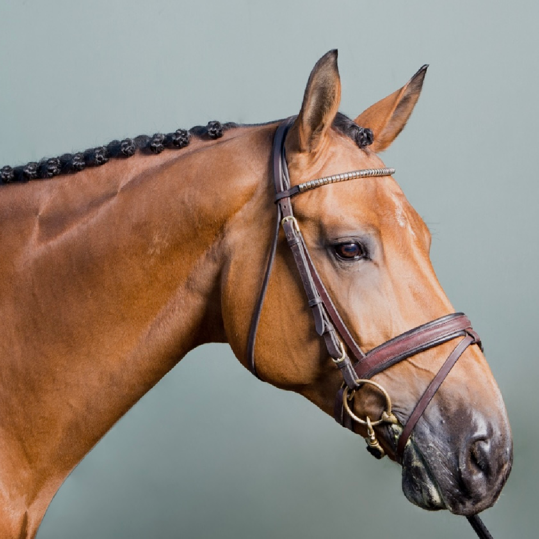 Diamant De Semilly x Balou du Rouet (Bavi)