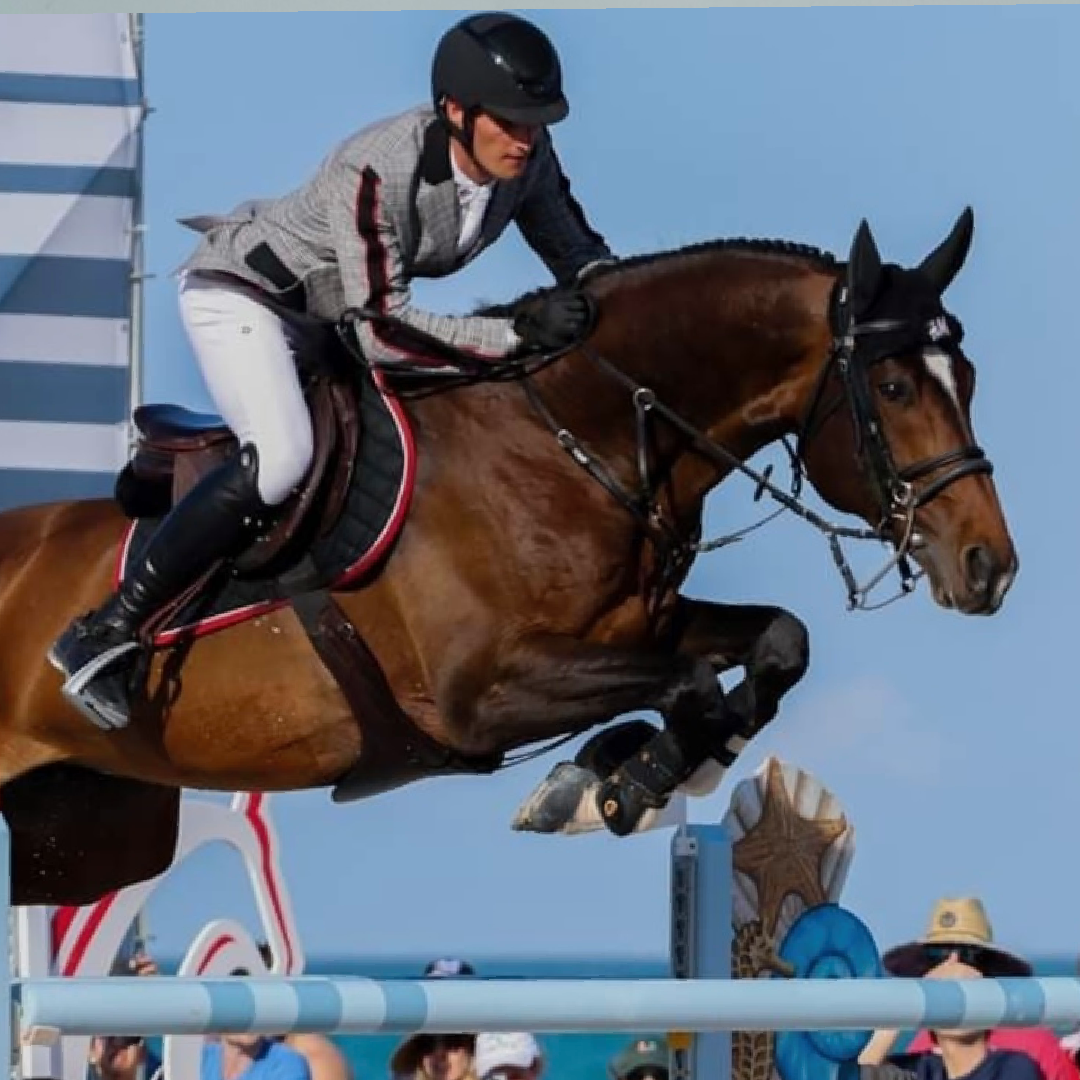 Diamant De Semilly x Berlin (Cocoona)