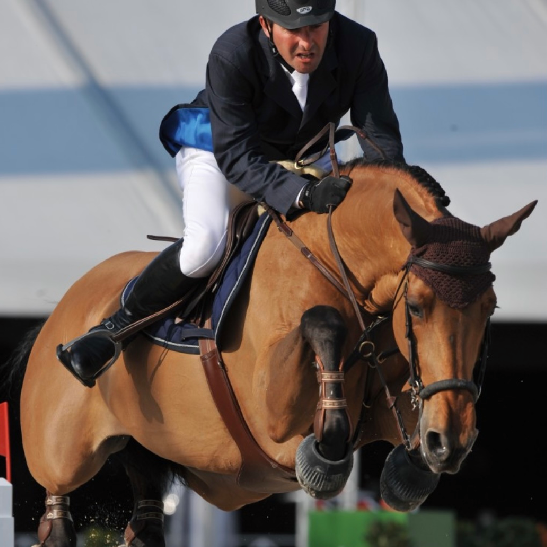 Aganix Du Seigneur x Emerald Van't Ruytershof (Nusha)