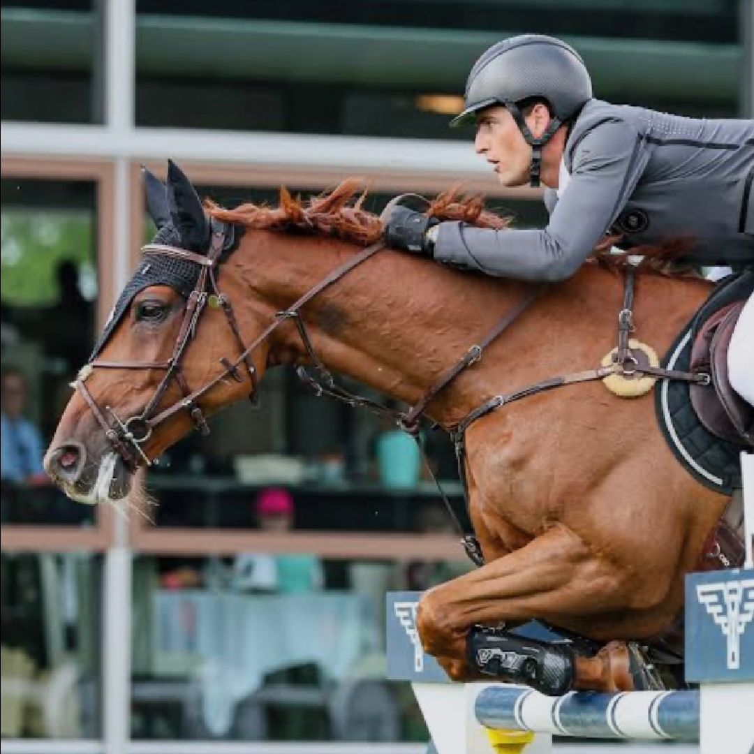 Jarnac x Norton D'Eole (Lightningthina Van’t Ruytershof)