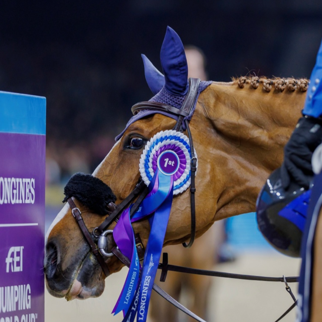 ⁠Comme il Faut x Pommeau Du Heup (Conga vd Neerheide)