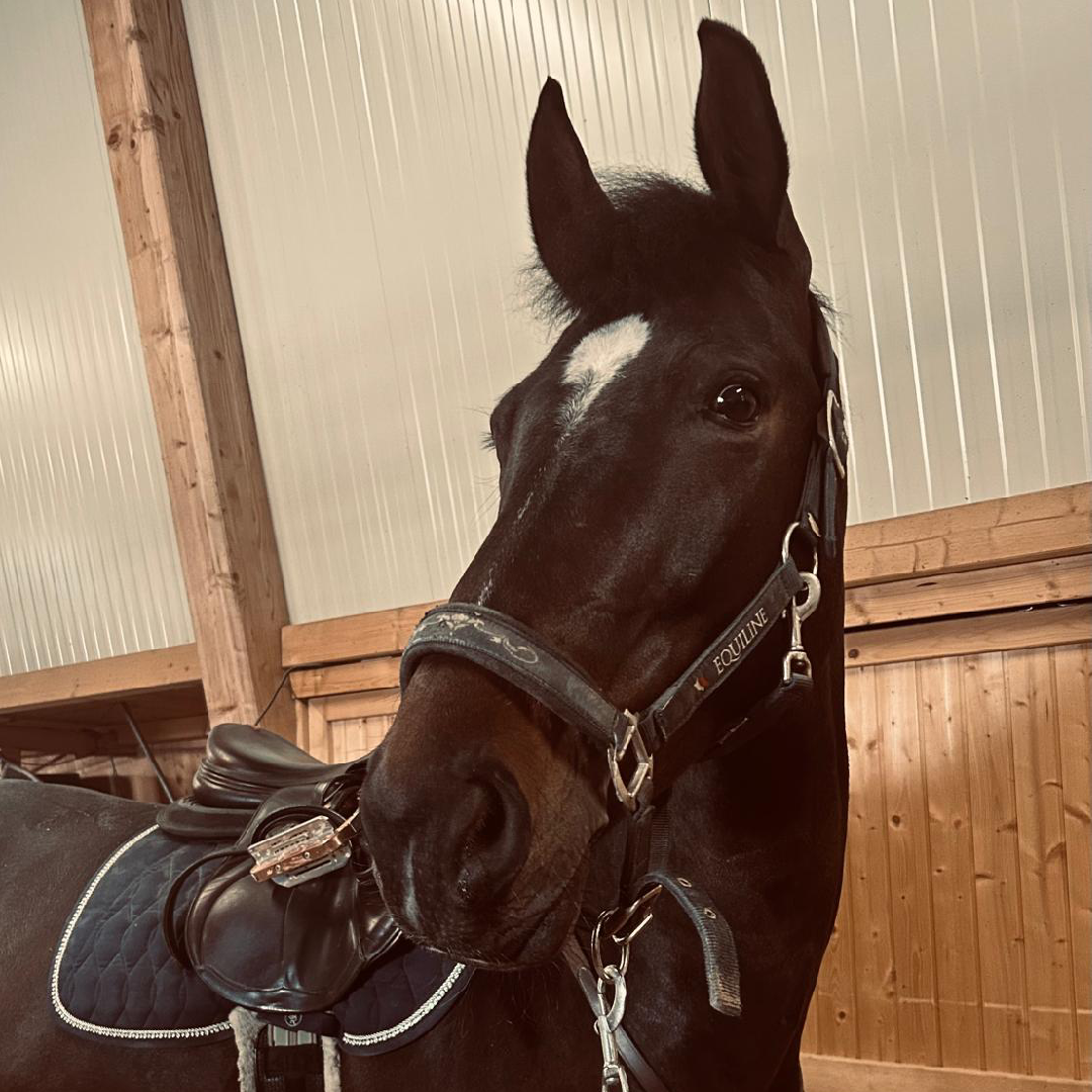 Quelqun Pour La Victoare