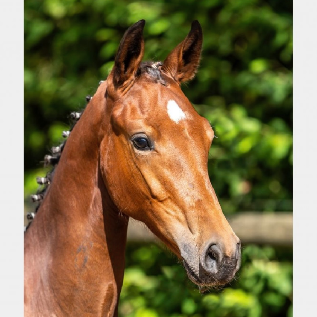 Cecilia Marron R. T. Z