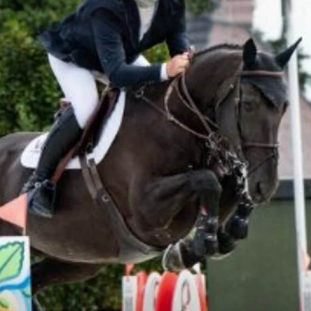 D-Day Vd Holsteenhoeve