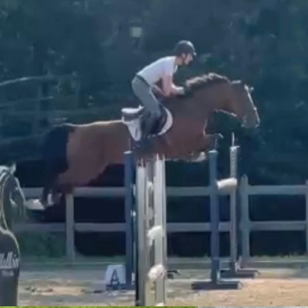 Telle Chance De Feu Z